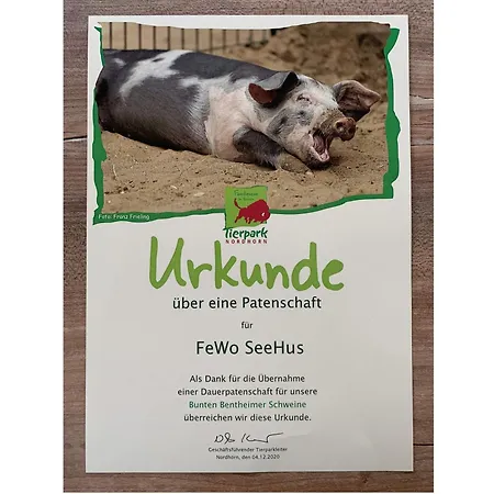 Seehus - Casa de Férias Nordhorn